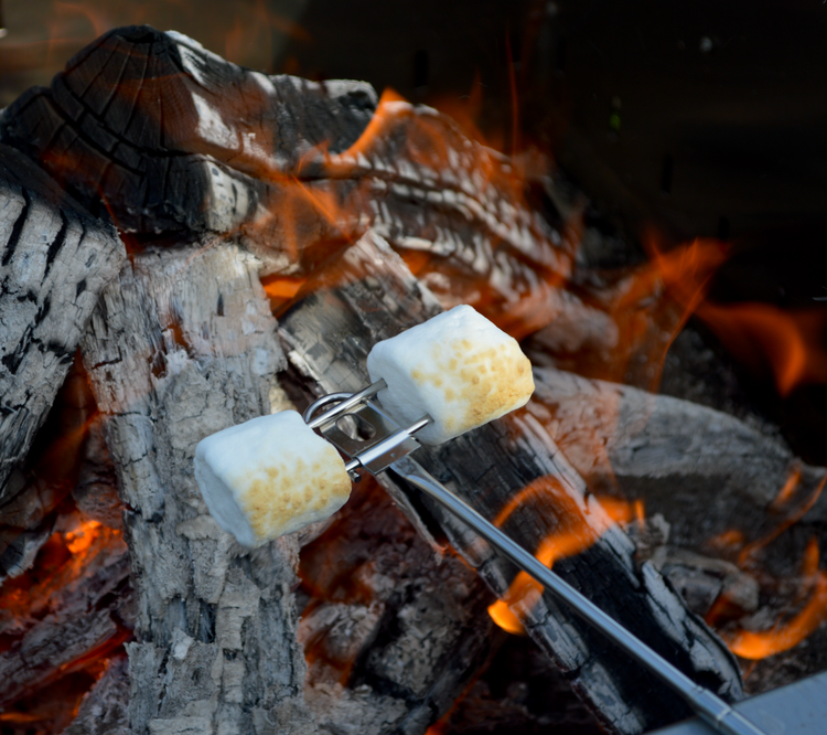 Iron Pie Maker, Marshmallow Stick, Marshmallow Roasting Stick, Christmas Gift Ideas Under $20, Christmas Gift Ideas Under $30, Outdoor Marshmallow Roaster, Best Marshmallow Roasting Sticks, Active Sportsman Telescoping Marshmallow Roasting Sticks